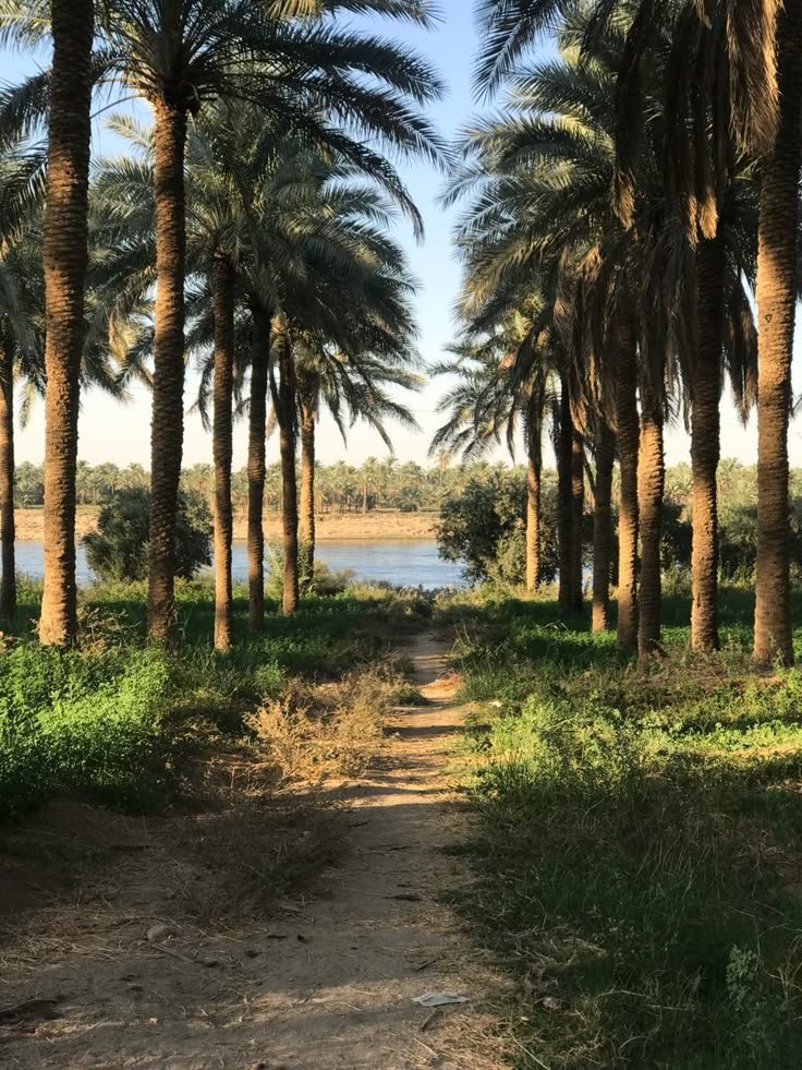 Guide Essentiel Pour Préparer Votre Voyage à Goulmima